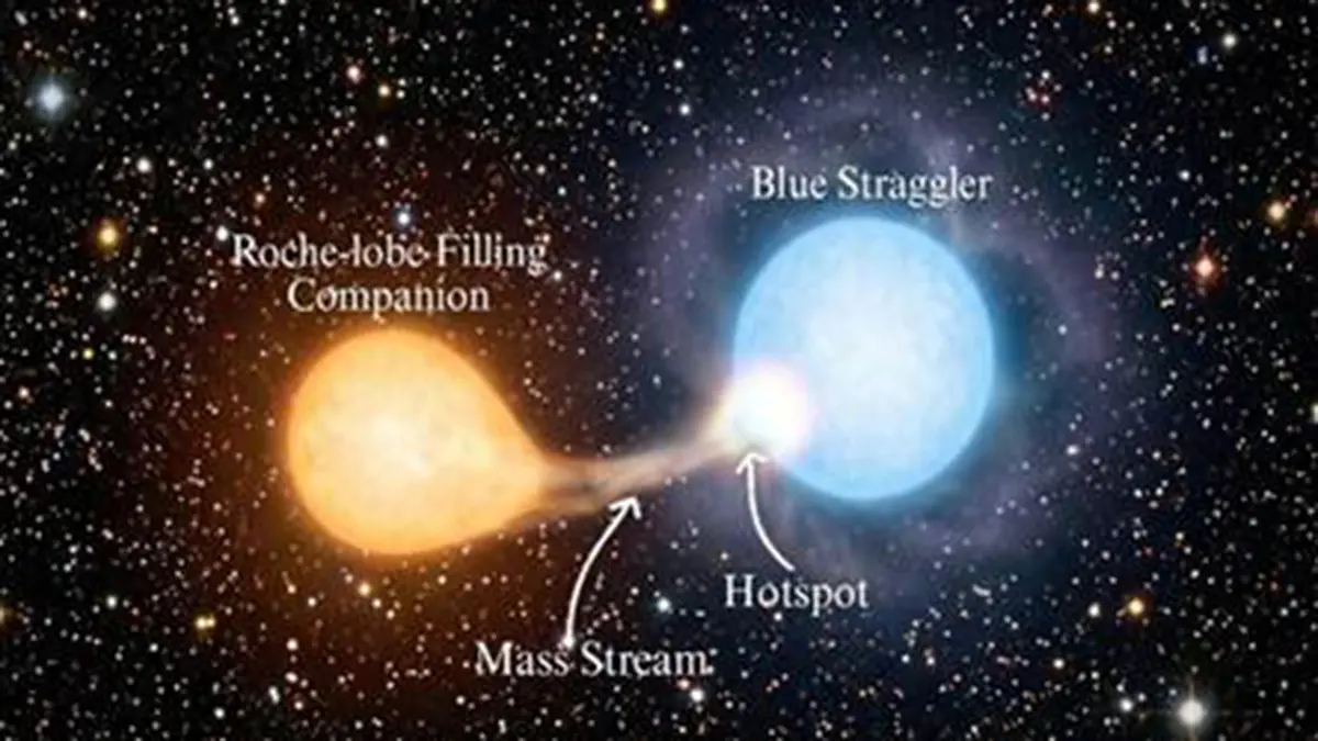 Blue Straggler Star – Astronomers Observe a Stellar Rejuvenation Process