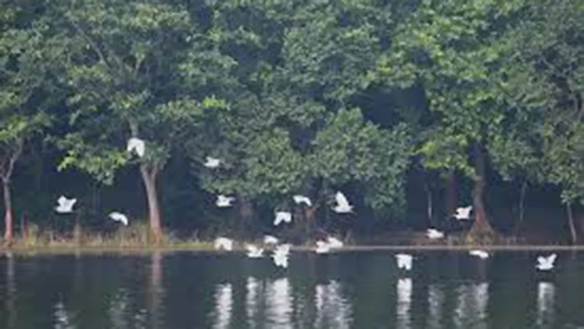 New Ramsar Sites – Patna Bird Sanctuary and Chhari‑Dhand Wetland